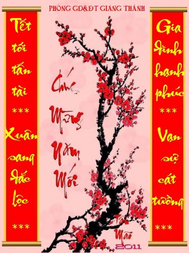 cau_doi_4-1-2011_500